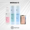 modulo 3 vitiv