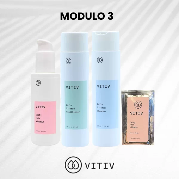 modulo 3 vitiv